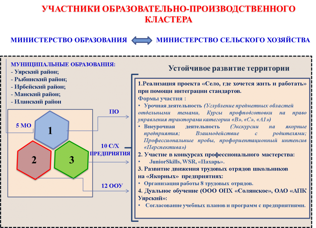 Презентация образовательный кластер